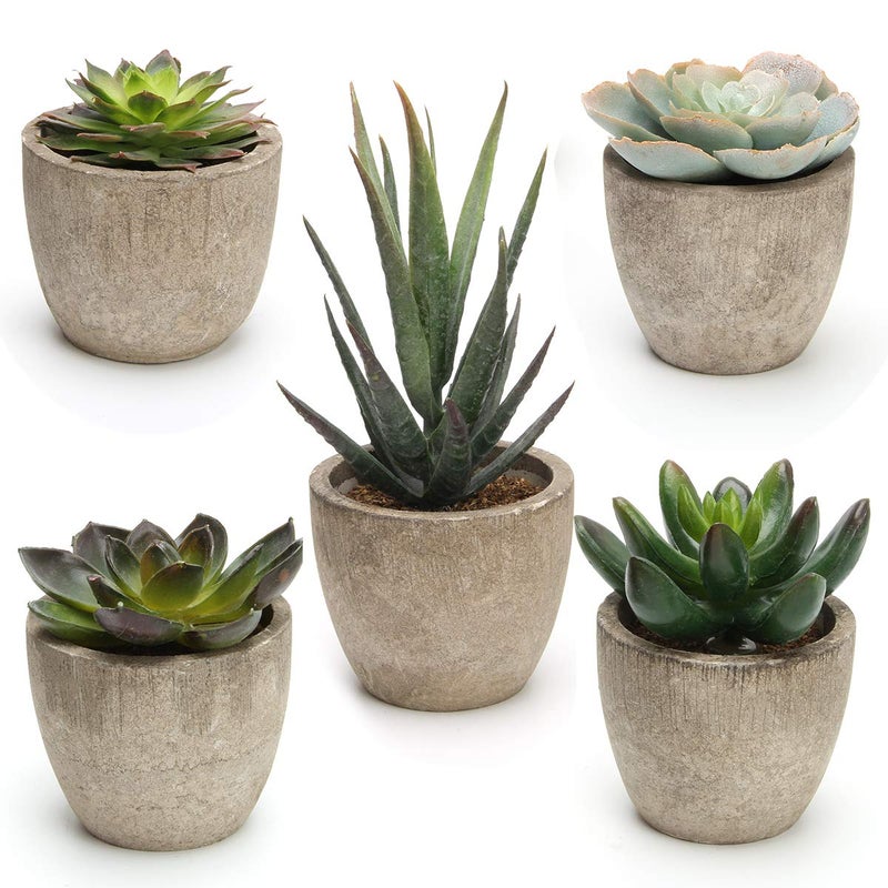 Coitak Artificial Succulent Plants Potted, Assorted Decorative Faux Succulent Potted Fake Cactus Cacti Plants with Pots, Set of 5 - Image 1